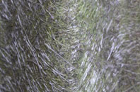 Northacre fibreglass roof work